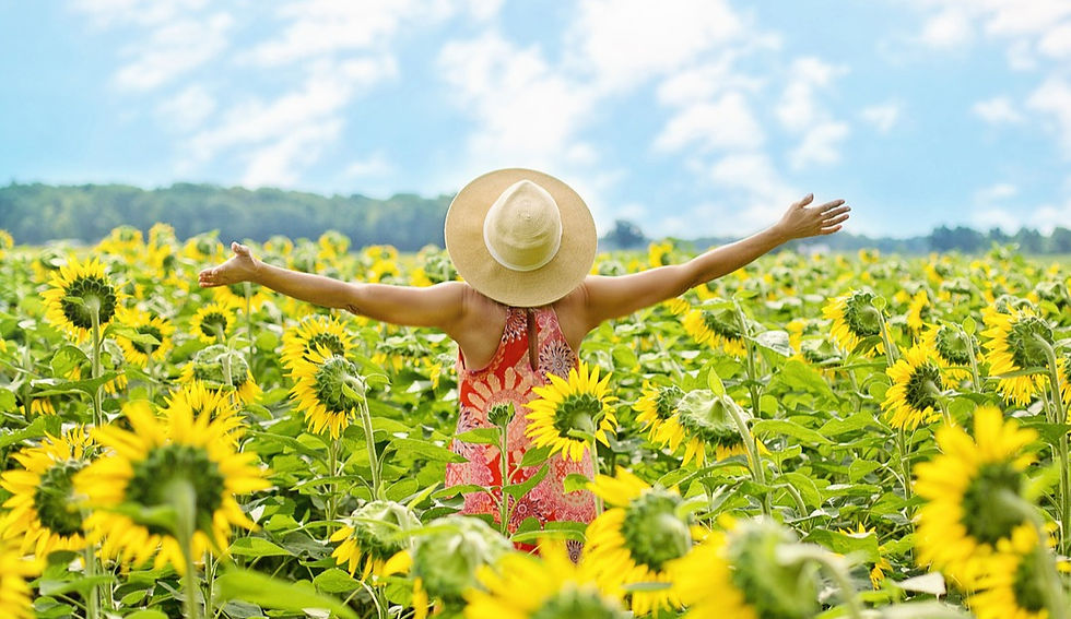  Intro to Holographic Memory Resolution--  Unlock Your Natural Healing Power