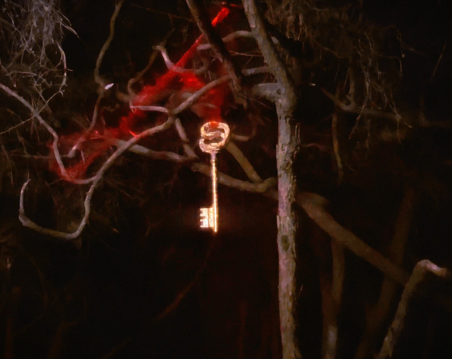 Altars The Digital Collection ꩜