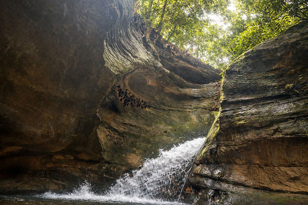 WhatsApp Image 2026-01-11 at 17.37.15 (1).jpeg