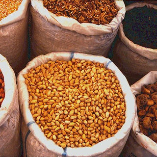 tur2-19 Nuts & Figs.jpg