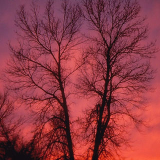 TR2-15 Oneida Lake Sunset.jpg