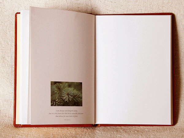 Journal Open Spruce2 copy.jpg
