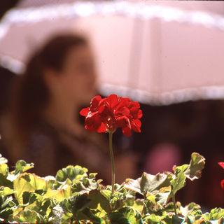 EE-6 White Umbrella.jpg