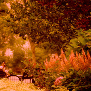 IM-5 Madison Park.jpg