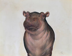 Rafael Soares