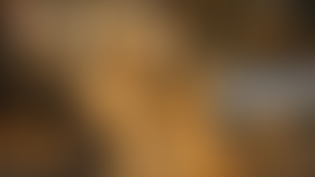 El “perro caramelo” deja de ser callejero y se vuelve símbolo nacional.