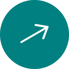 Frame 2147226977.png