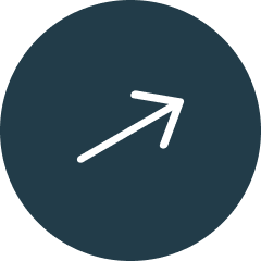 Frame 2147226977.png