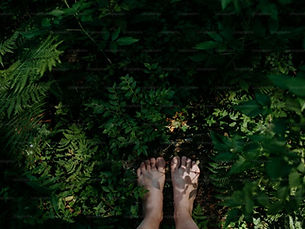 WhatsApp Image 2026-02-21 at 10.31.39 PM.jpeg