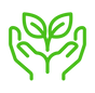 plant.png