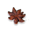 Untitled-3.png