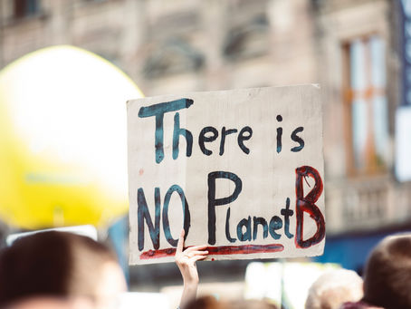 Fear—Not Climate Change—Could Render Us Extinct
