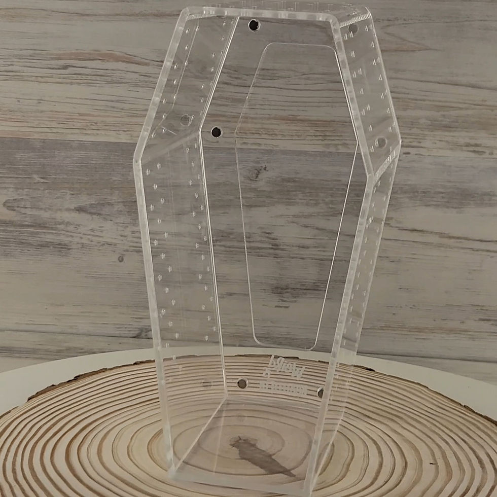 Thumbnail: coffin shaped spider enclosure 