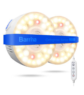 Untitled - 2026-01-03T171708.752.jpg