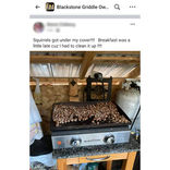 TAPPETINO PER GRIGLIA Verdure Carne Barbecue Affumicatura Cottura