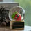 Thumbnail: Stickymonger - Strawberry Snowglobe ( Red Gold )