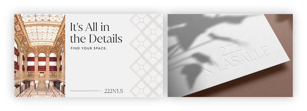 TSNLS_Portfolio two pics.png