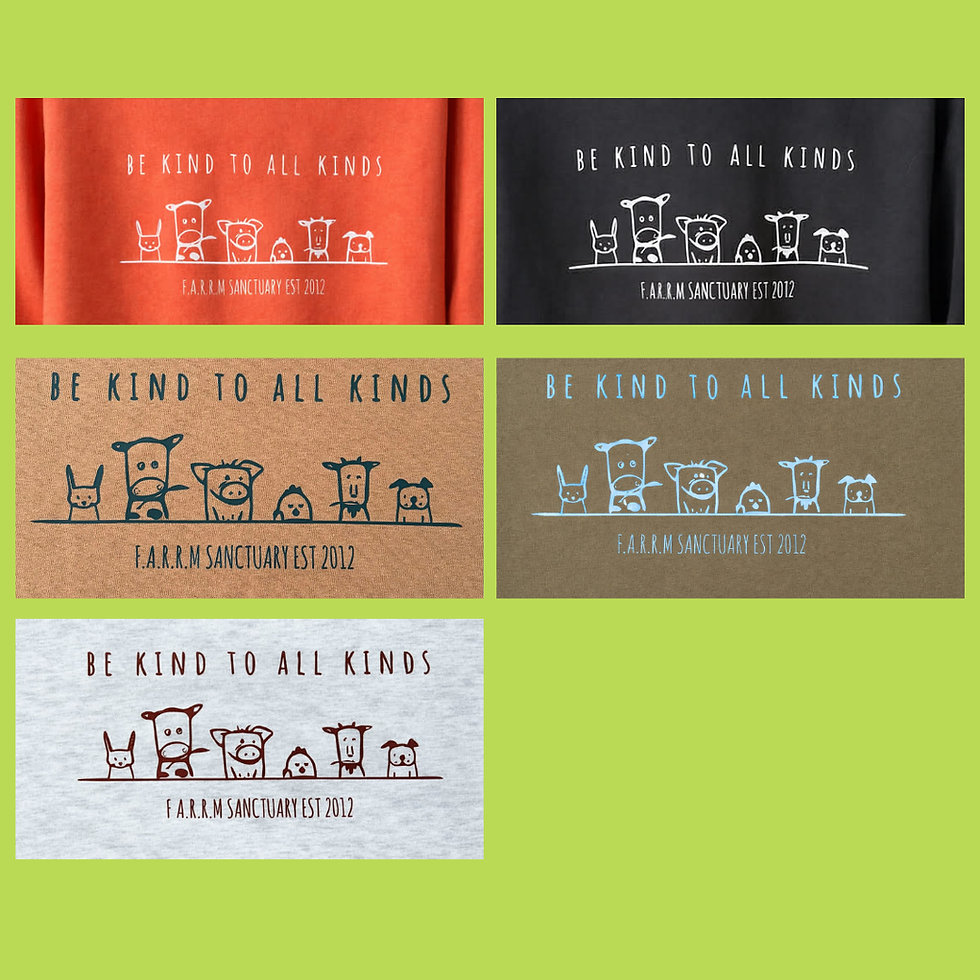 Thumbnail: Crew Neck: Unisex BE KIND TO ALL KINDS 2026