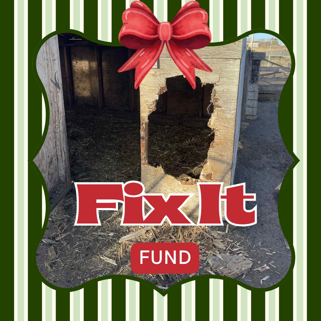 Holiday Sponsorship Items - FIX-IT-FUND $20