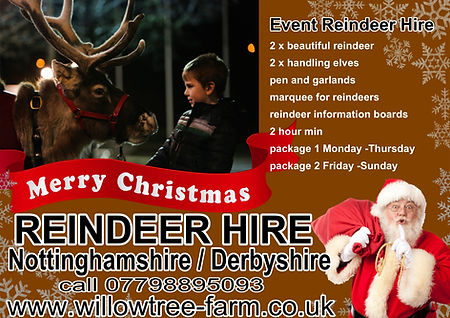 reindeer hire events.jpg