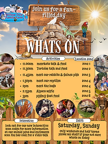 Brown and Yellow Illustrated Farm Event Announcement Instagram Post.png