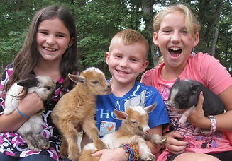 3-kids-holding-animals.jpg
