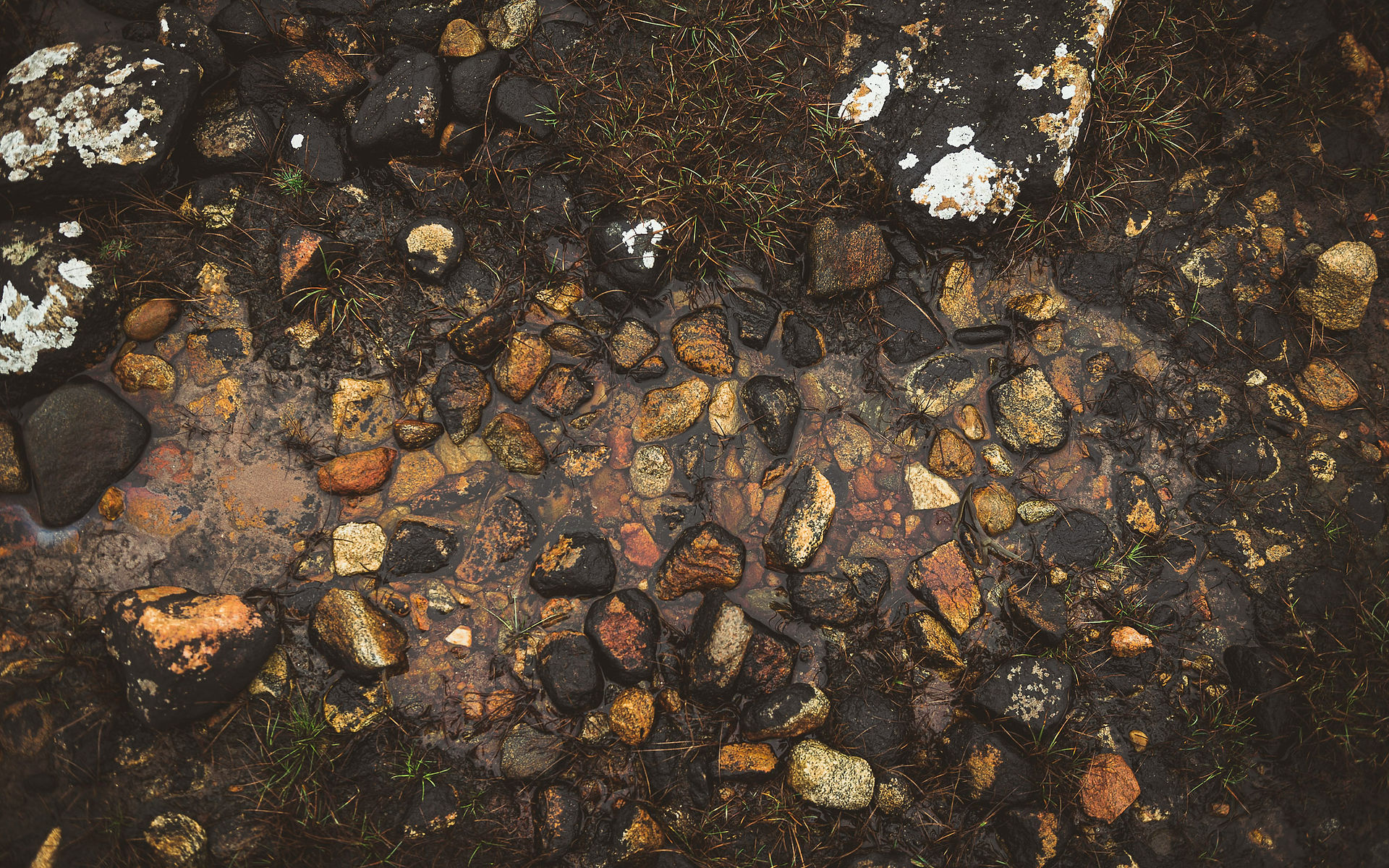 Moody, Dark Landscape in Isle of Coll, Scotland, with black and orange rocky river