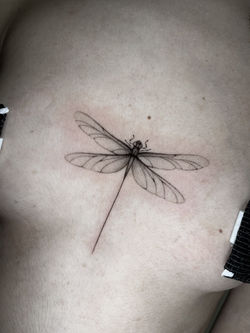 Tatuaje blackwork fineline