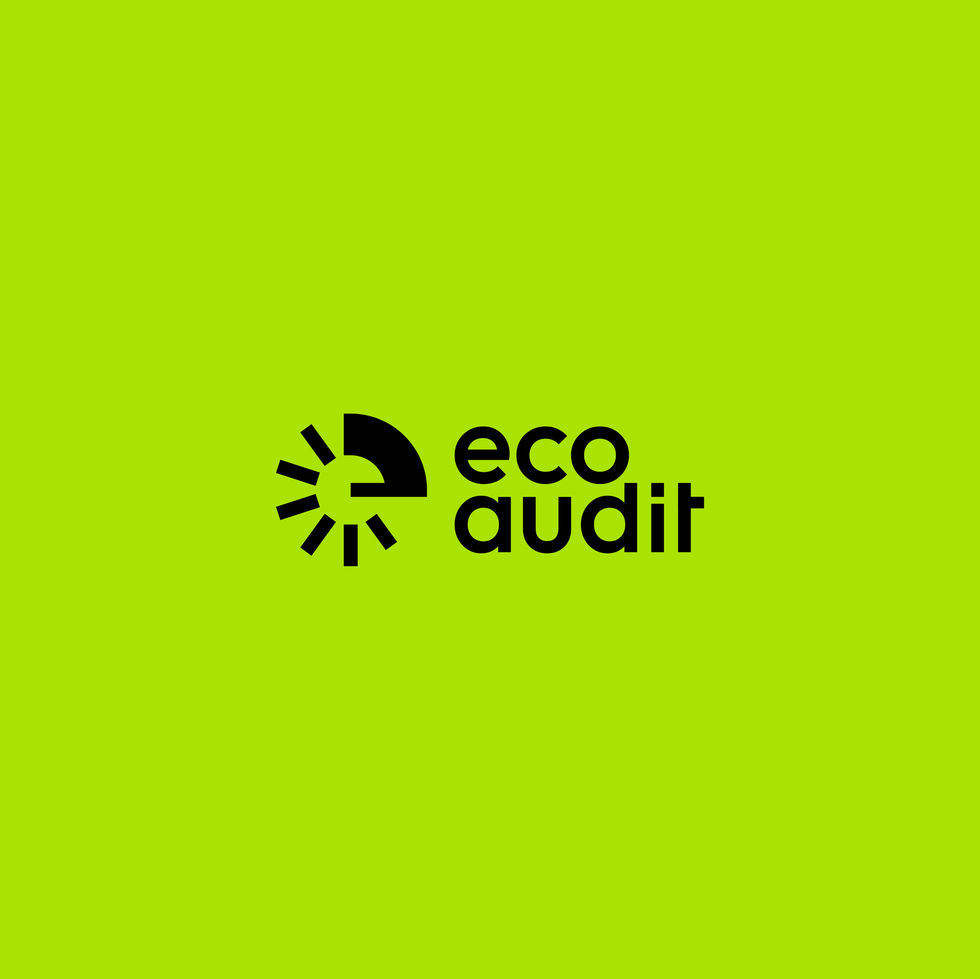 Eco audit_Obszar roboczy 1-02