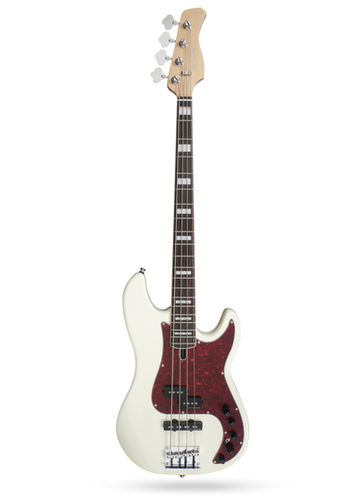 P7 Alder 4st 2nd Generation | Sire Japan