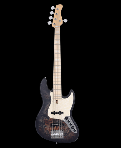 V7 Ash-5 Reissue | Sire Japan