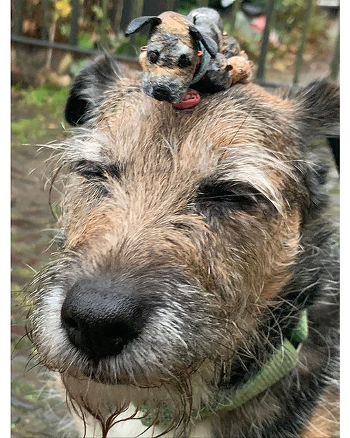 Izzy real and mini.jpg