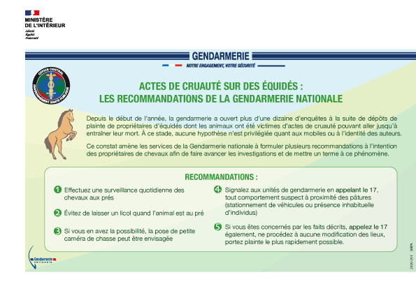 Actes de cruauté sur des équidés :les recommandations de la gendarmerie nationale content media