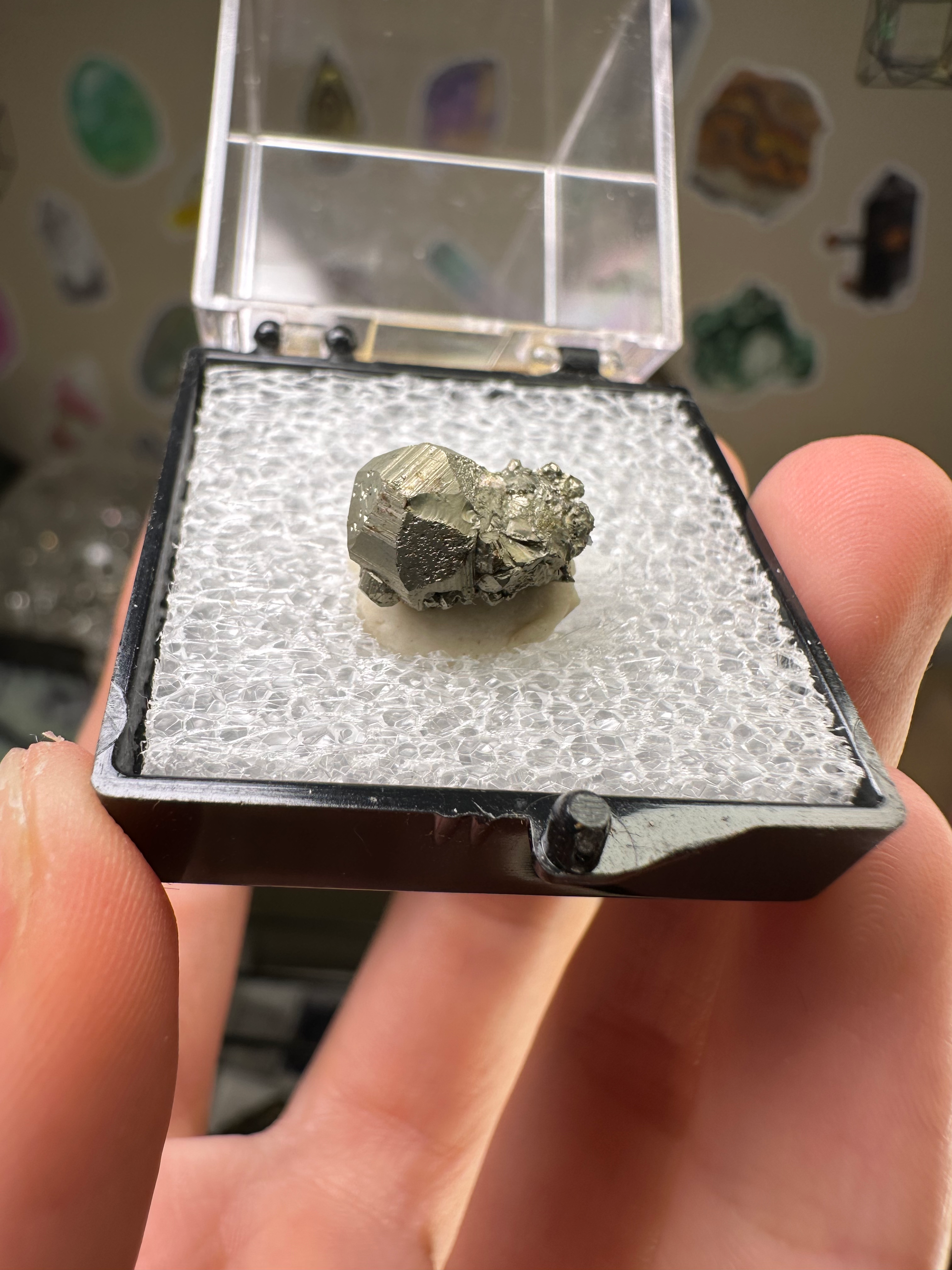 Pyrite Diploid Perky Box from Peru