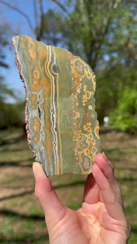 Thumbnail: Oldstock Kambaby Ocean Jasper slice 2006