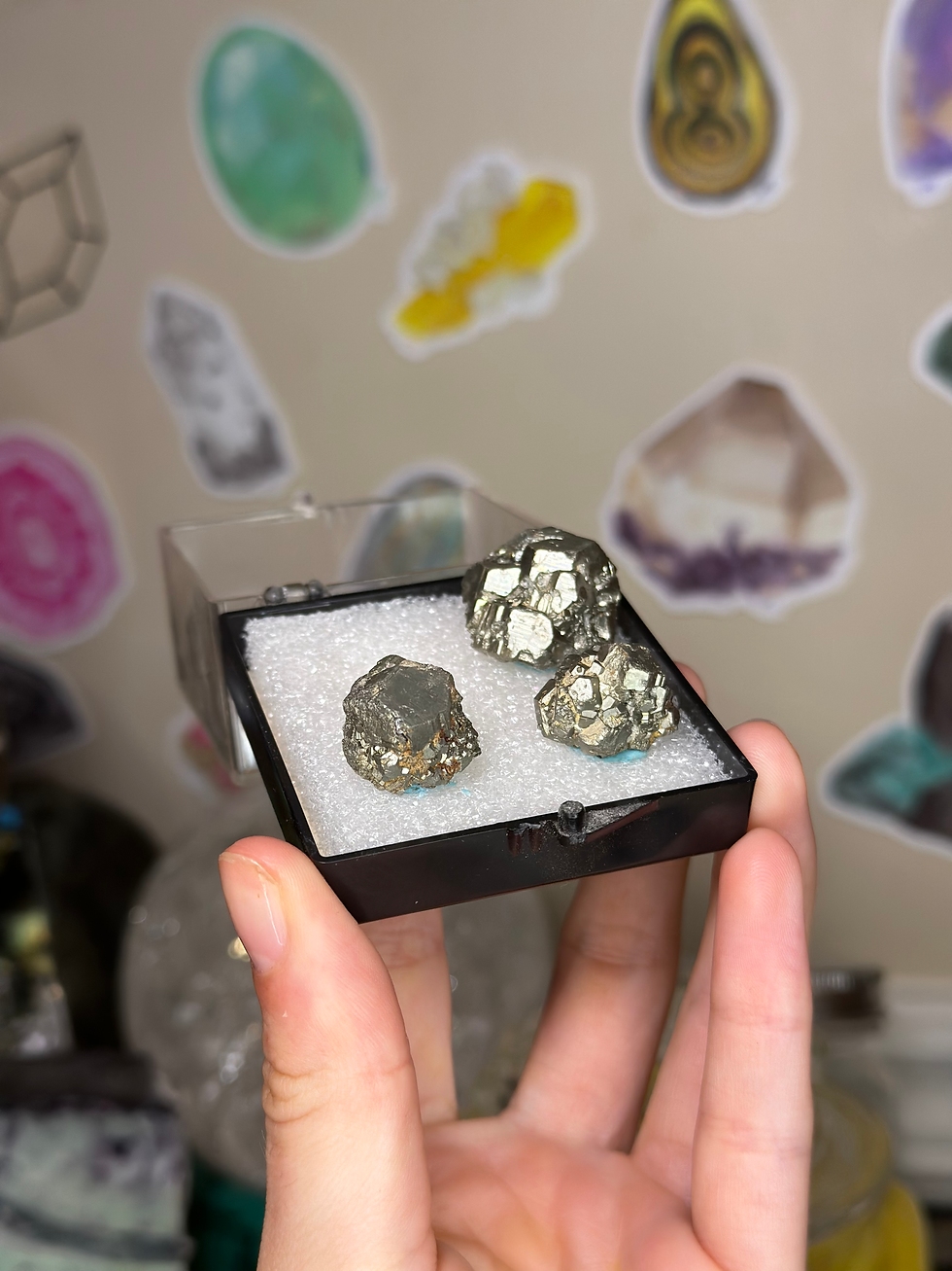 Thumbnail: Pyrite Perky Box (3) from ZCA Pierrepont, NY 