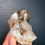 Thumbnail: Chunky Spirit Quartz with Hematite Inclusions