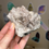 Thumbnail: Fluorite with Galena from the Covara Mine, Italian Alps