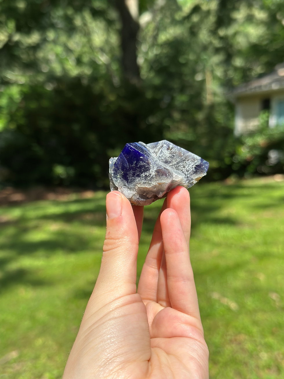 Thumbnail: UV Fluorite from the Milky Way Pocket (UK)