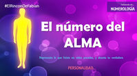 NUMERO DEL ALMA