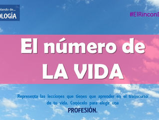 LECCIÓN DE VIDA