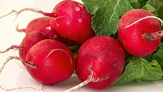 Radish (Lb)
