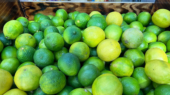 Limes