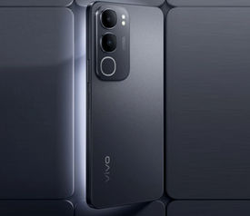 Vivo G3 5G