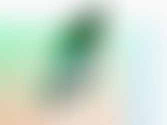 Η Realme ετοιμάζει το φθηνό κινητό C55