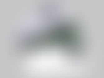 Η πραγματική εμφάνιση του Huawei P60 Pro