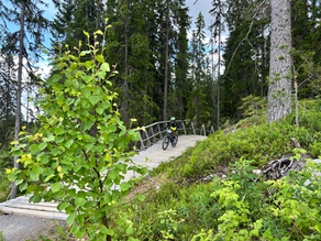 Invitasjon til klubbdag i Trysil