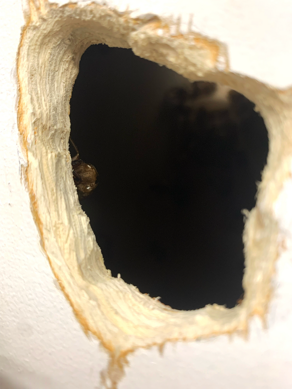 How to Float - Comin Out-1.png