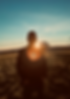 6D1FCCF5-9D04-4D6C-819C-89B8E080A133.png