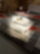 IMG_2599.JPEG